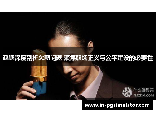 赵鹏深度剖析欠薪问题 聚焦职场正义与公平建设的必要性