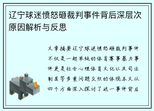 辽宁球迷愤怒砸裁判事件背后深层次原因解析与反思