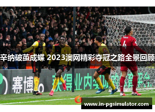 辛纳破茧成蝶 2023澳网精彩夺冠之路全景回顾